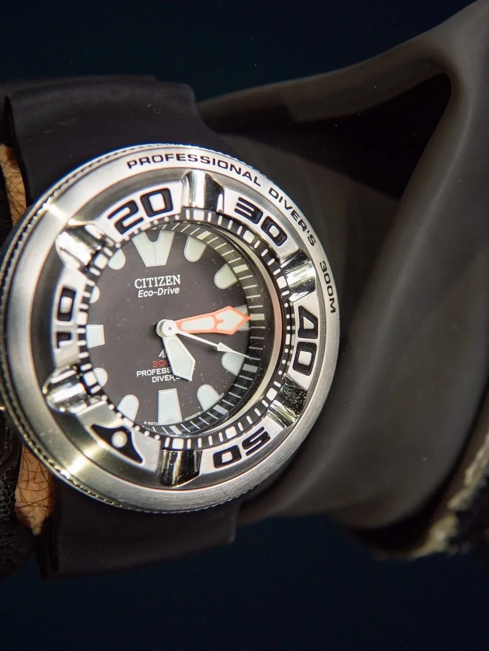 Citizen rugged dive